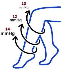 Solid Compression Lt Pink Knee High: Reg