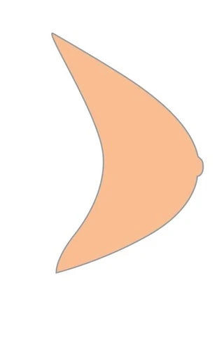 Essential 2E