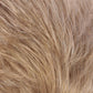 Mono Wiglet 36-LF by Estetica